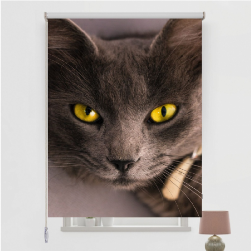 Baskılı stor perde